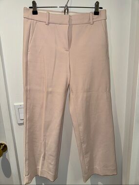 J. Crew Wide-Leg Pants in Pale Blush